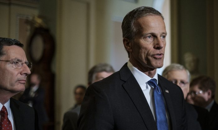 Thune 1140298442 700x420