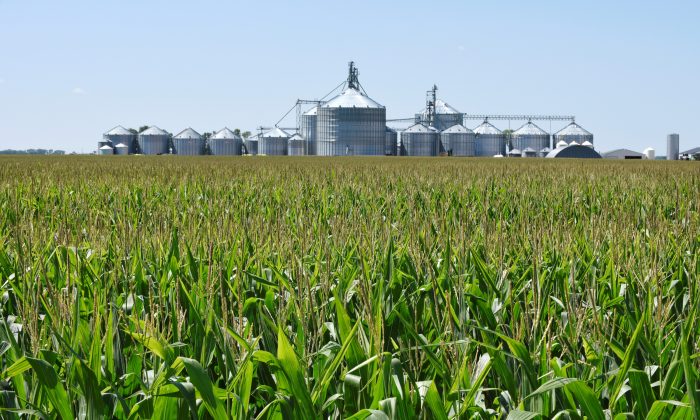 US FARMERS china us trade war 700x420