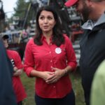 Tulsi Gabbard won't join fellow Democrats' calls for impeachment: It would be 'terribly divisive' | USNN World News tulsi gabbard