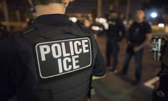 florida ICE 700x420