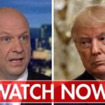 Schiff committee's reported contact with whistleblower a 'gift' to Trump, Tom Bevan says | USNN World News tom brevan gift