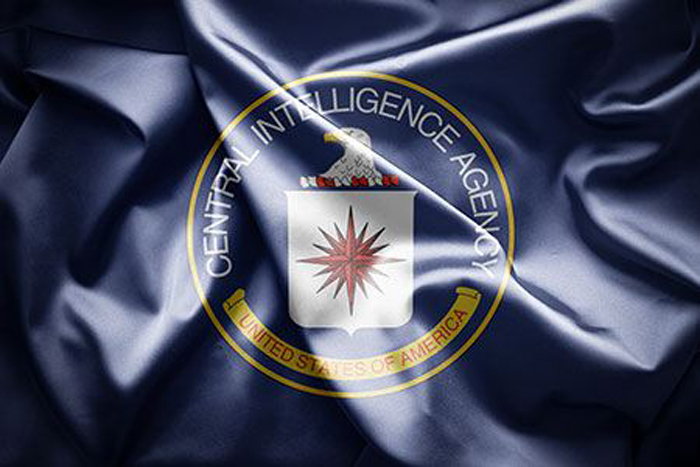 federal and state cia