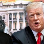 Americans know Democrats 'used' Robert Mueller to try to damage the president, Donald Trump Jr. says | USNN World News one big joke