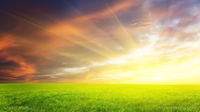 Agriculture Beautiful Blue Clouds Country Countryside Farm