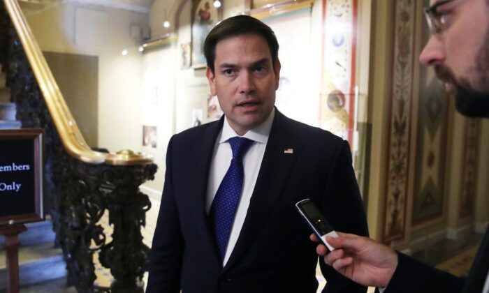 rubio2