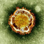 Coronavirus declared public health emergency in US | USNN World News SARS Like Virus