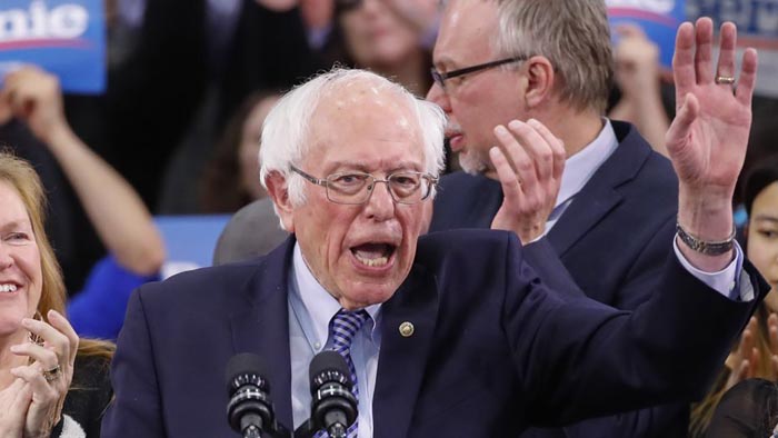 bernie panic