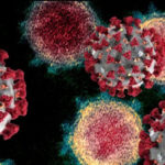 How complicit is the WHO in China’s coronavirus cover-up? | USNN World News coronavirus who