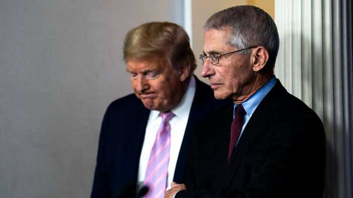 trump fauci