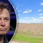 Musk defends Tesla as Texas county considers millions in tax breaks to land 'gigafactory' | USNN World News Musk defends Tesla as Texas county considers millions in tax breaks to land 'gigafactory'