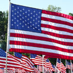 Democrats can save our party – by voting Republican