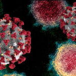 Rep. Steve Scalise questions Dem governors on decision to send coronavirus patients to nursing homes | USNN World News Rep. Steve Scalise questions Dem governors on decision to send coronavirus patients to nursing homes