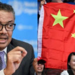 WHO frustrated by China's info delays as coronavirus started to spread, report finds | USNN World News WHO frustrated by China's info delays as coronavirus started to spread, report finds