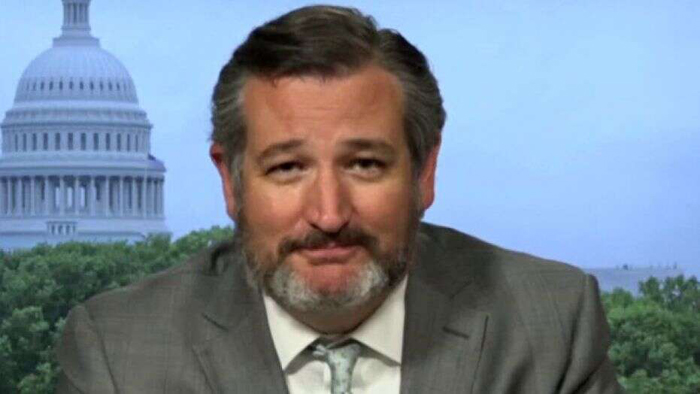 Cruz accuses Democrats of coordinated effort to keep schools, businesses closed to hurt Trump 2 cruz