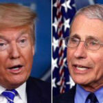 Fauci: Trump restrictions on travel from China, Europe, UK saved American lives early in pandemic | USNN World News Fauci: Trump restrictions on travel from China, Europe, UK saved American lives early in pandemic