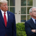Trade adviser Peter Navarro tears into Fauci in blistering op-ed: ‘Wrong about everything’ | USNN World News Trade adviser Peter Navarro tears into Fauci in blistering op-ed: ‘Wrong about everything’