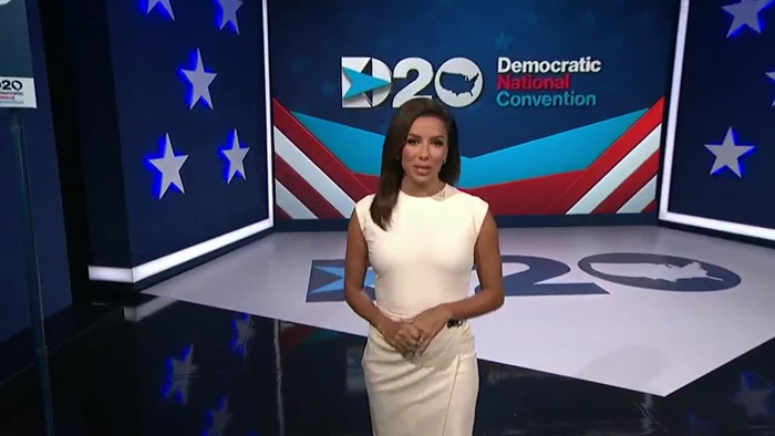 Michelle Obama's DNC address fact-checked by AP over 'distorted' immigration talking point