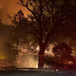 Wildfire erupts in California's Napa County, emergency evacuations over 'dangerous rate of spread' | USNN World News Wildfire erupts in California's Napa County, emergency evacuations over 'dangerous rate of spread'