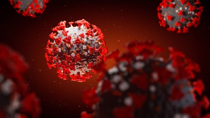 Scientists may know where coronavirus originated, study says