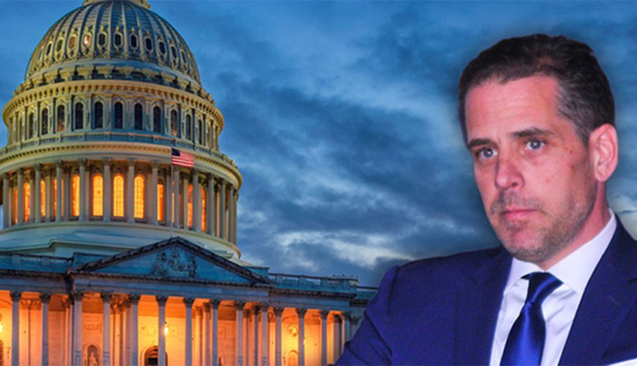 GOP-led committees release interim report on Hunter Biden, Burisma probe