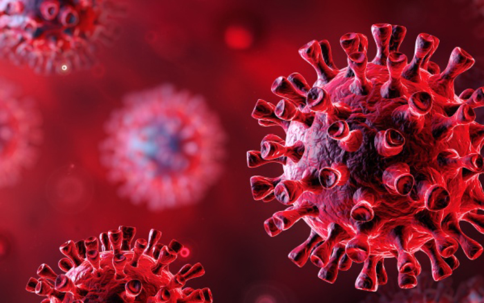The 3 American Counties With Zero Cases of COVID-19