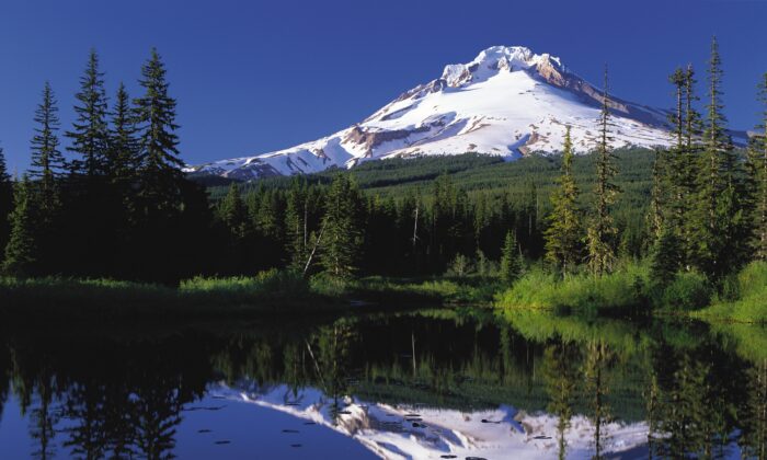 Two Oregon Counties Vote to Consider Seceding, Joining Idaho
