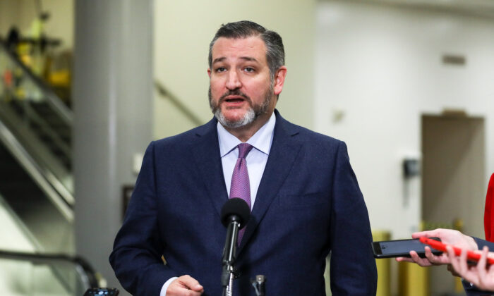 Sen. Ted Cruz: Anyone ‘Involved in Voter Fraud’ Should Be Prosecuted, Jailed