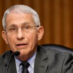 Fauci and the Media Have Serious Blood on Their Hands Over COVID | USNN World News Fauci and the Media Have Serious Blood on Their Hands Over COVID
