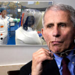 Republicans Call for Fauci to Be Fired Over Wuhan Lab Controversy