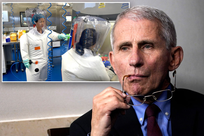 Republicans Call for Fauci to Be Fired Over Wuhan Lab Controversy