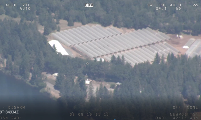 Cartels Using Narco Slaves to Grow Illegal Marijuana on Industrial Scale in Oregon