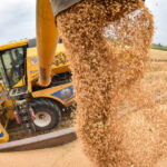 China’s Theft of US Agriculture Tech Secrets is ‘Enormous’ National Security Threat: Analyst | USNN World News China’s Theft of US Agriculture Tech Secrets is ‘Enormous’ National Security Threat: Analyst