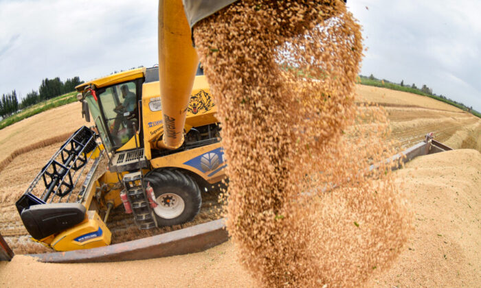 China’s Theft of US Agriculture Tech Secrets is ‘Enormous’ National Security Threat: Analyst