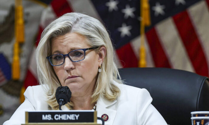 Top GOP Senator: Not Enough Democrats’ Can Help Liz Cheney Win Primary
