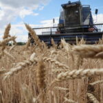Wheat Prices Surge After Russian Missiles Strike Odesa Following Grain Deal | USNN World News Wheat Prices Surge After Russian Missiles Strike Odesa Following Grain Deal