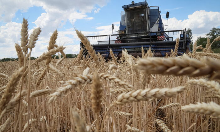 Wheat Prices Surge After Russian Missiles Strike Odesa Following Grain Deal