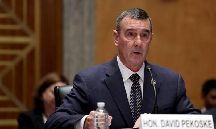 ‘Under 1,000’ Illegal Aliens Used Arrest Warrants as ID to Board US Flights: TSA Chief