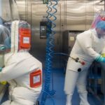 Wuhan Lab Was Genetically Manipulating Deadly Nipah Virus, Expert Testifies at Senate Hearing | USNN World News Wuhan Lab Was Genetically Manipulating Deadly Nipah Virus, Expert Testifies at Senate Hearing