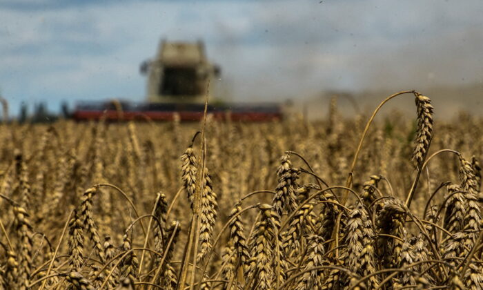 Wheat Climbs Over 5 Percent to 2-Week High as Russia Suspends Black Sea Agreement