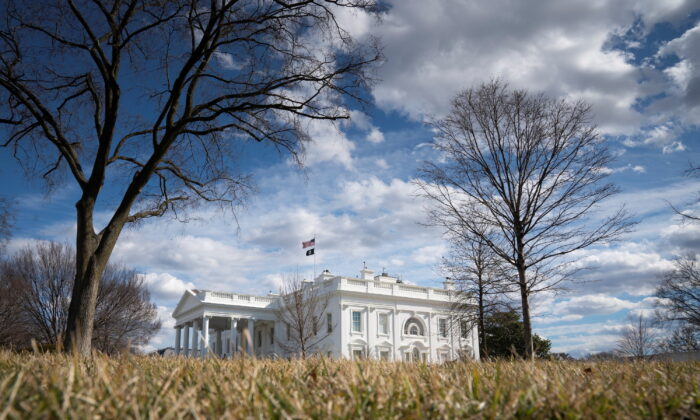 America’s Voting Patterns and the 2024 Elections