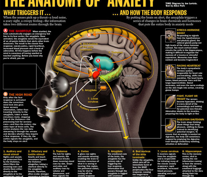 Psychologist: 4 Natural Ways to Relieve Tension and Anxiety