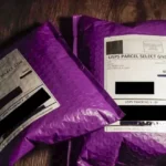 Florida Activists Secretly Ship Free Sex-Change Kits to Children Around the Country | USNN World News Florida Activists Secretly Ship Free Sex-Change Kits to Children Around the Country