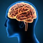 Is Too Much Iron in the Brain Causing Alzheimer’s