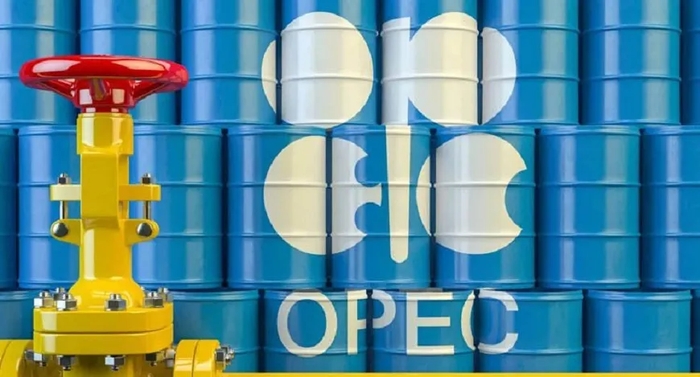Crude Realities: Decoding OPEC's Oil Pricing, Barrel Sizes, and Global Rankings