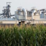 Biden Administration Sued Over Alleged Harms of Biofuel Production | USNN World News Biden Administration Sued Over Alleged Harms of Biofuel Production
