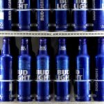 Dylan Mulvaney Leaves Country While Former Anheuser-Busch Executive Slams Company CEO | USNN World News Dylan Mulvaney Leaves Country While Former Anheuser-Busch Executive Slams Company CEO
