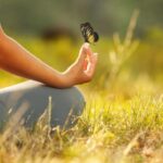 Embracing Harmony in Life | USNN World News Embracing Harmony in Life