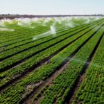 Senate Backs Ban on China Buying US Farmland | USNN World News Senate Backs Ban on China Buying US Farmland
