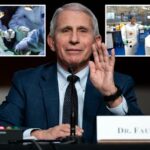 NIH, Officials Received $325 Million in Royalties From 3rd Parties Over 11 Years: Watchdog | USNN World News NIH, Officials Received $325 Million in Royalties From 3rd Parties Over 11 Years