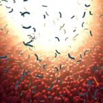 How the COVID Vaccine Harms Your Gut, Leading to Dysbiosis, Brain Fog, and Autoimmune Disease | USNN World News How the COVID Vaccine Harms Your Gut, Leading to Dysbiosis, Brain Fog, and Autoimmune Disease